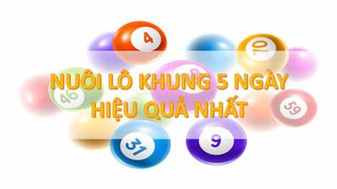Một số lưu ý trong cách nuôi lô 5 ngày